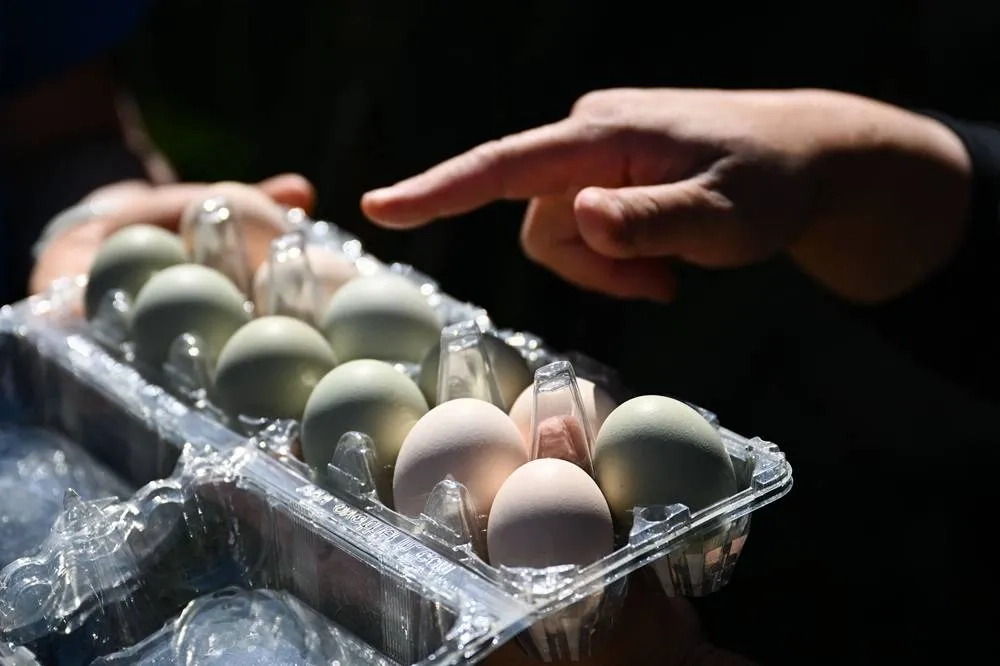 Eggs Are Less Likely to Crack When Dropped on Their Side, According to Science