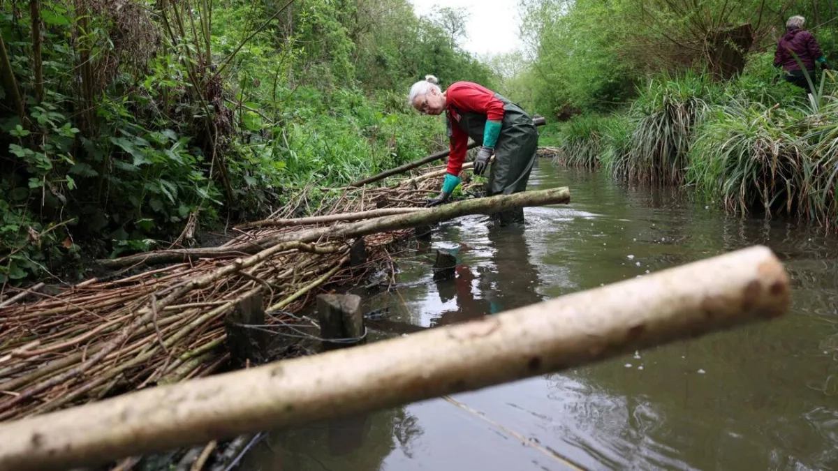 UK Towns Harness Nature to Combat Rising Flood Risk