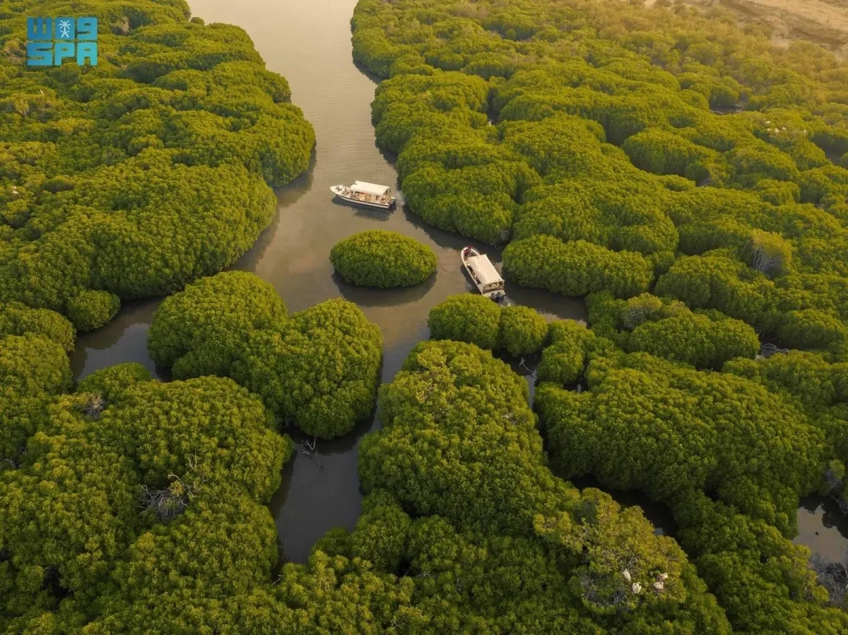 Saudi Arabia Joins Ramsar Convention on Wetlands