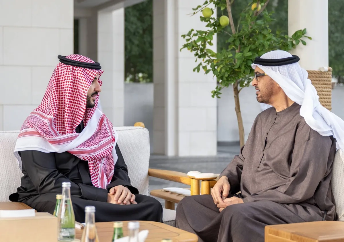 لقاء سعودي - إماراتي يبحث سبل تحقيق أمن المنطقة