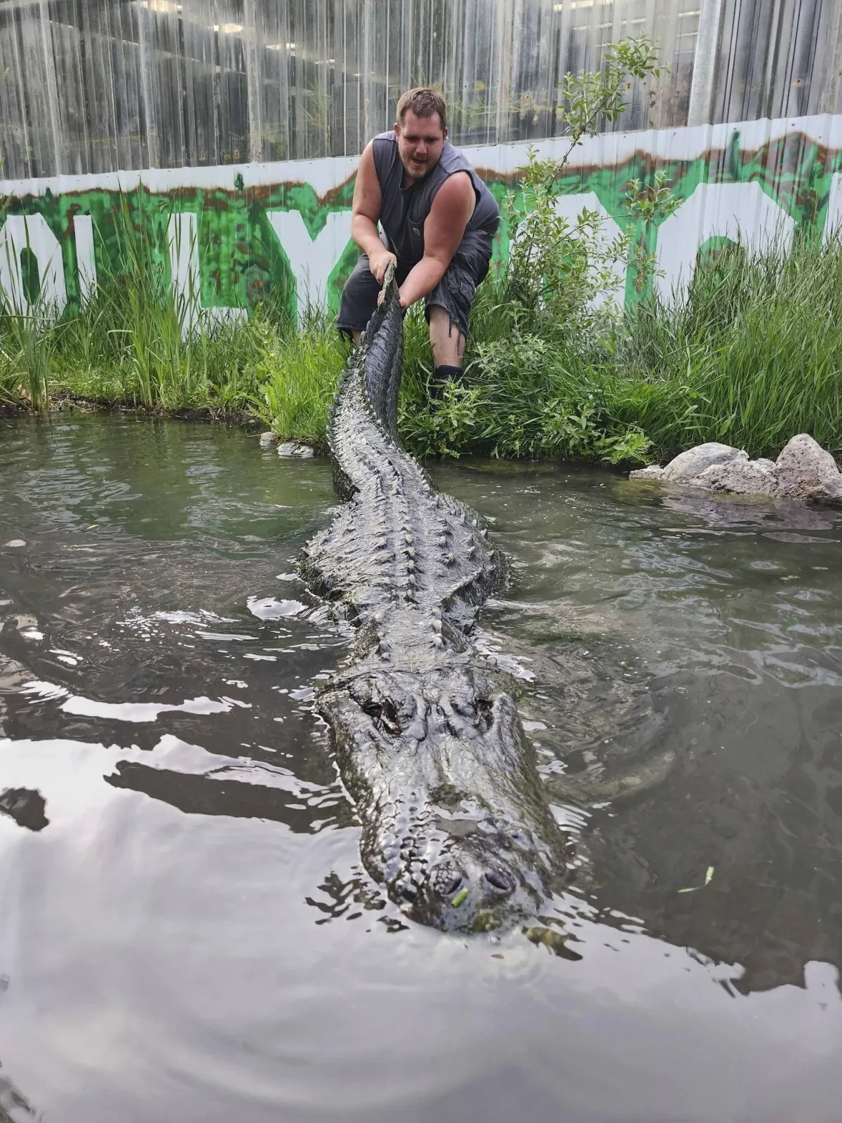 Alligator that Appeared in Films Dies of Old Age in Colorado