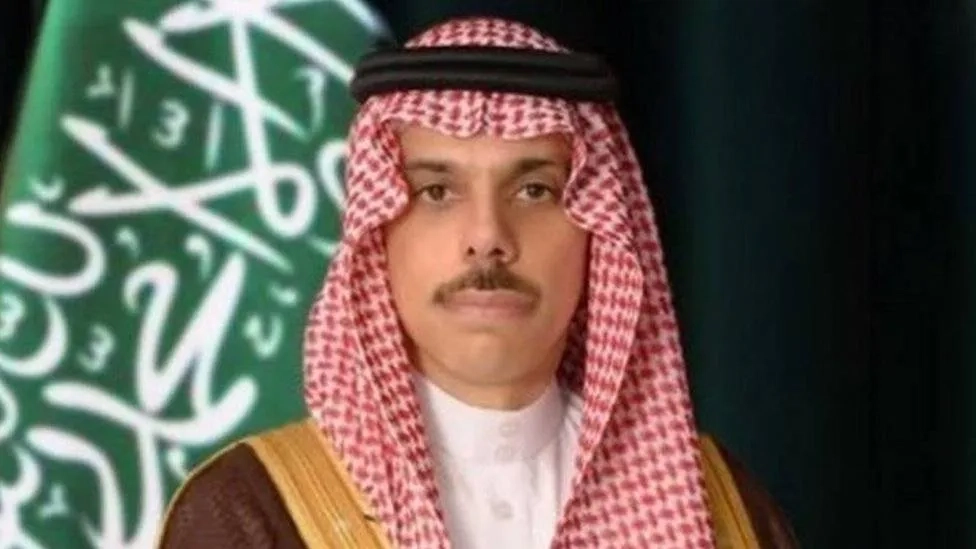 السعودية والنمسا تبحثان المستجدات الإقليمية والدولية
