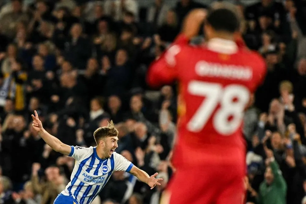 My Perfect Cousin, Hinshelwood and Howell Help Brighton Down Liverpool
