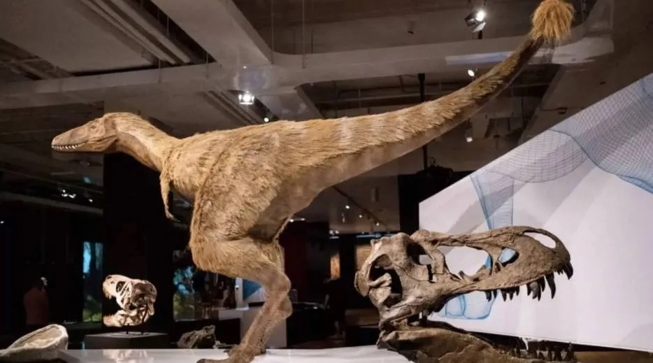 Mystery of Dinosaur Mass Grave at Canada's 'River of Death'