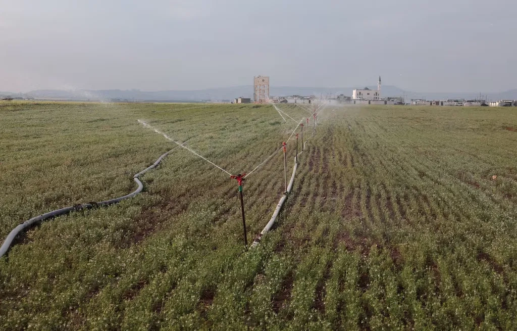 Drought-hit Syrian Farmers Hope Sanctions Reprieve will Restore Agriculture