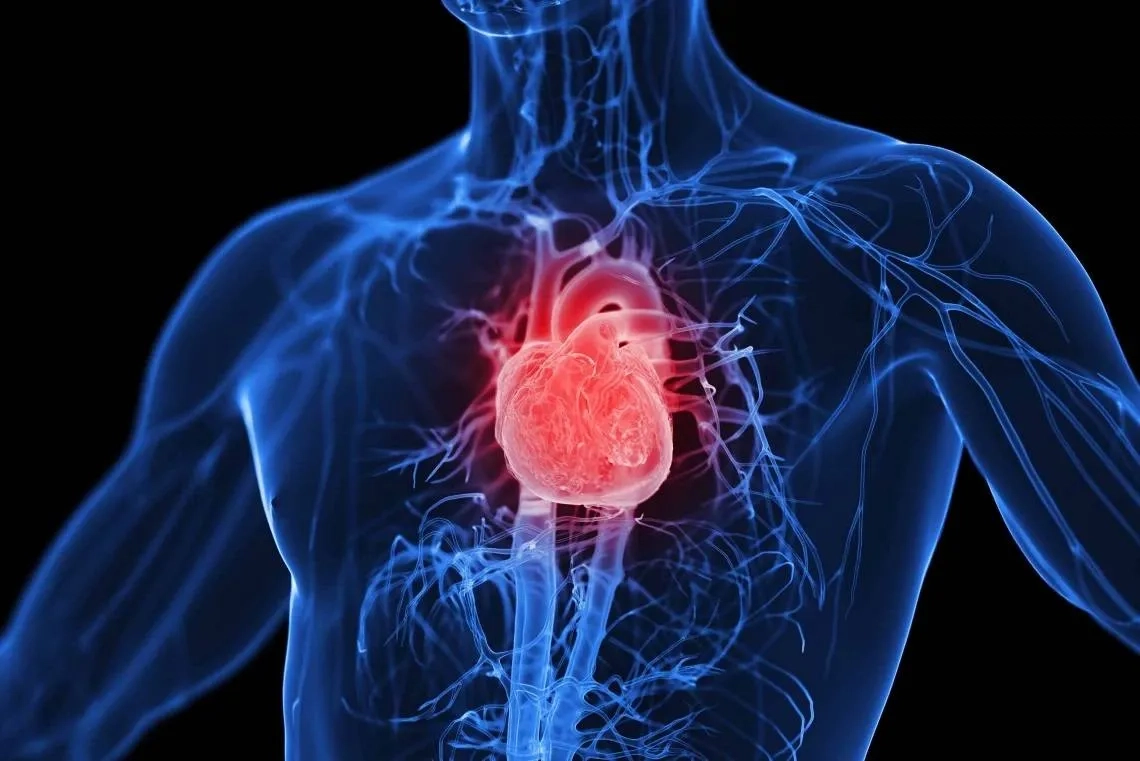دواء جديد لعلاج قصور القلب