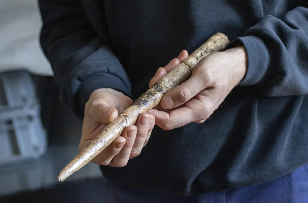 Scientists Date the Oldest Known Tools Made from Whale Bones to 20,000 Years Ago