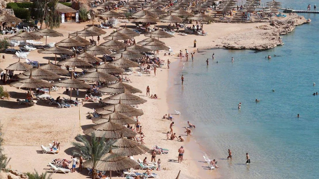 الشواطئ المصرية تجتذب الصرب