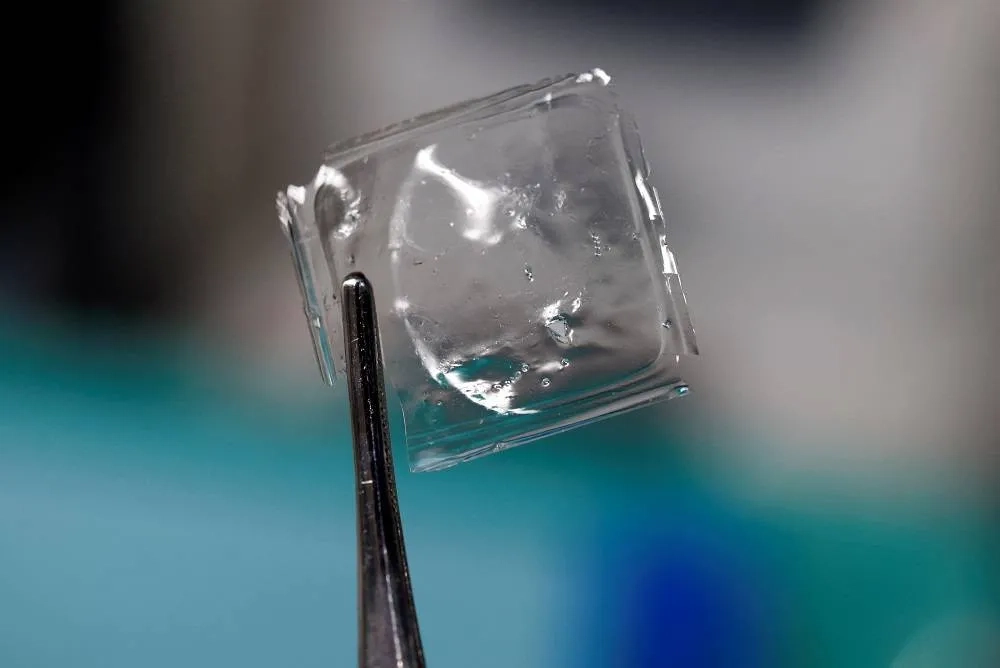 Scientists in Japan Develop Plastic that Dissolves in Seawater within Hours