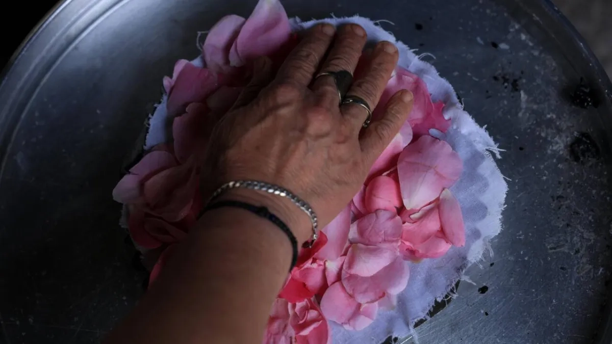 Albania Town Where Everything's Coming Up Roses