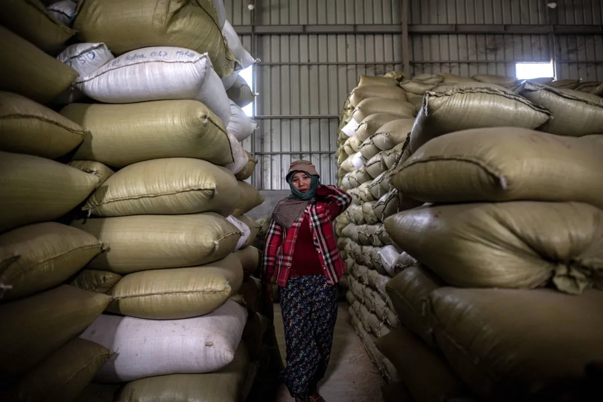 World Bank: Earthquake Worsens Myanmar's Economic Decline