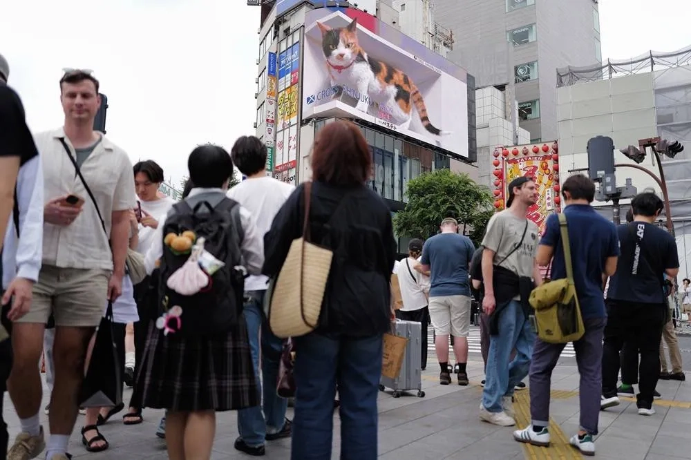 Japan's Chief Meteorologist Calls Rumors of a July Earthquake a Hoax, Urges People Not to Worry
