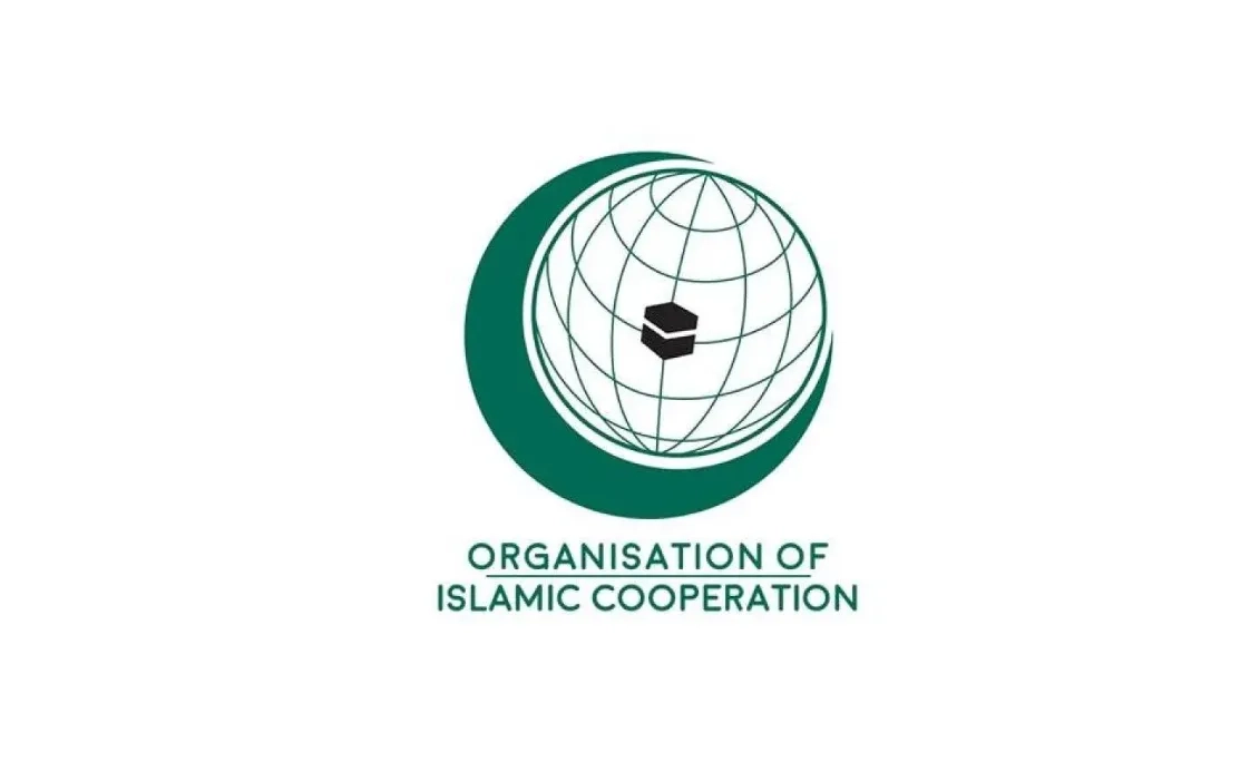 OIC Secretary-General Receives Call from Iranian FM