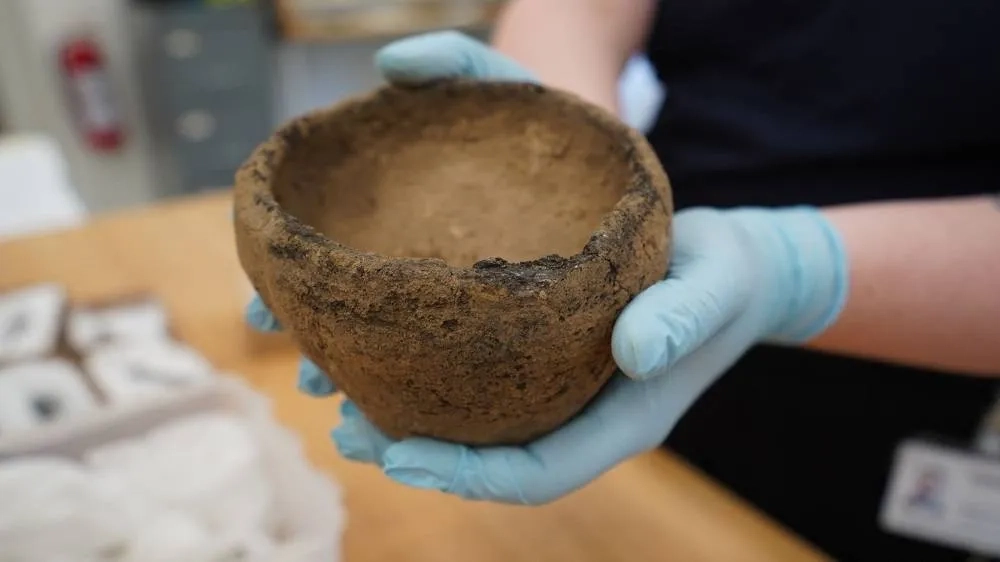 'Spectacular' Viking Burial Site Discovered in Denmark