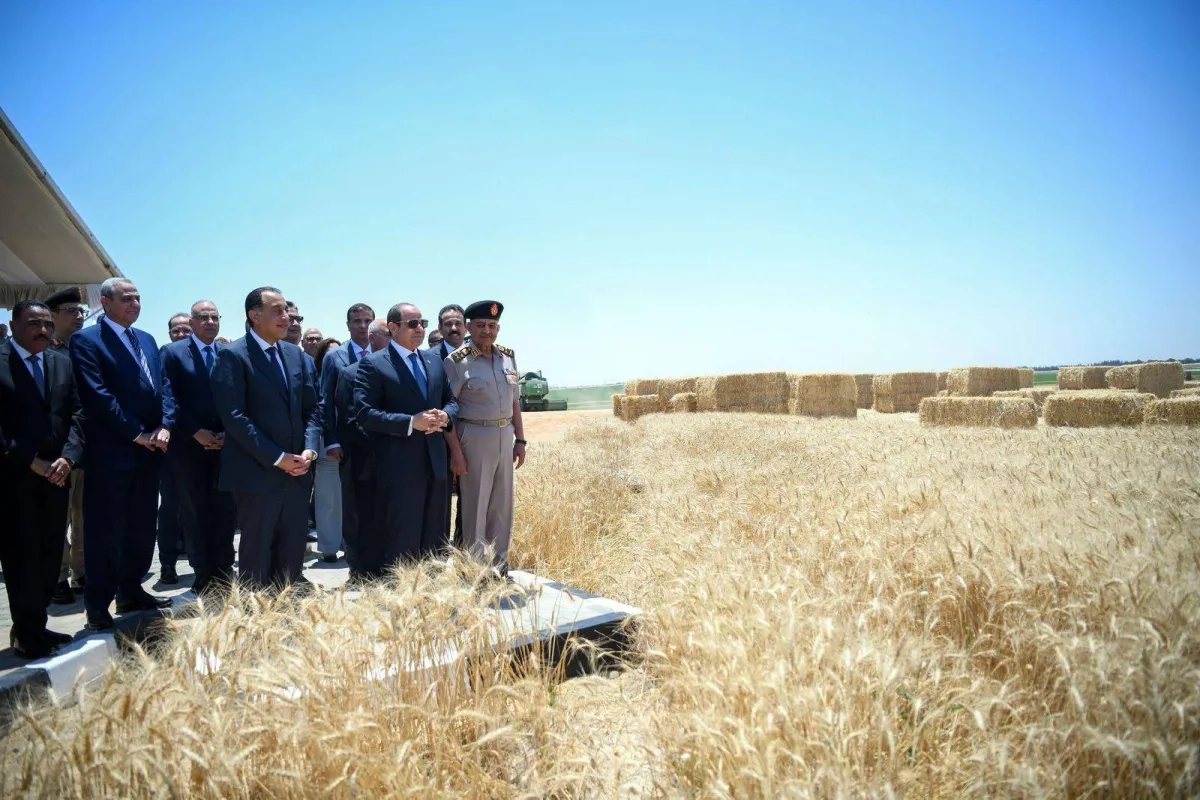 سيناريوهات التعامل المصري مع تداعيات المواجهات الإسرائيلية
