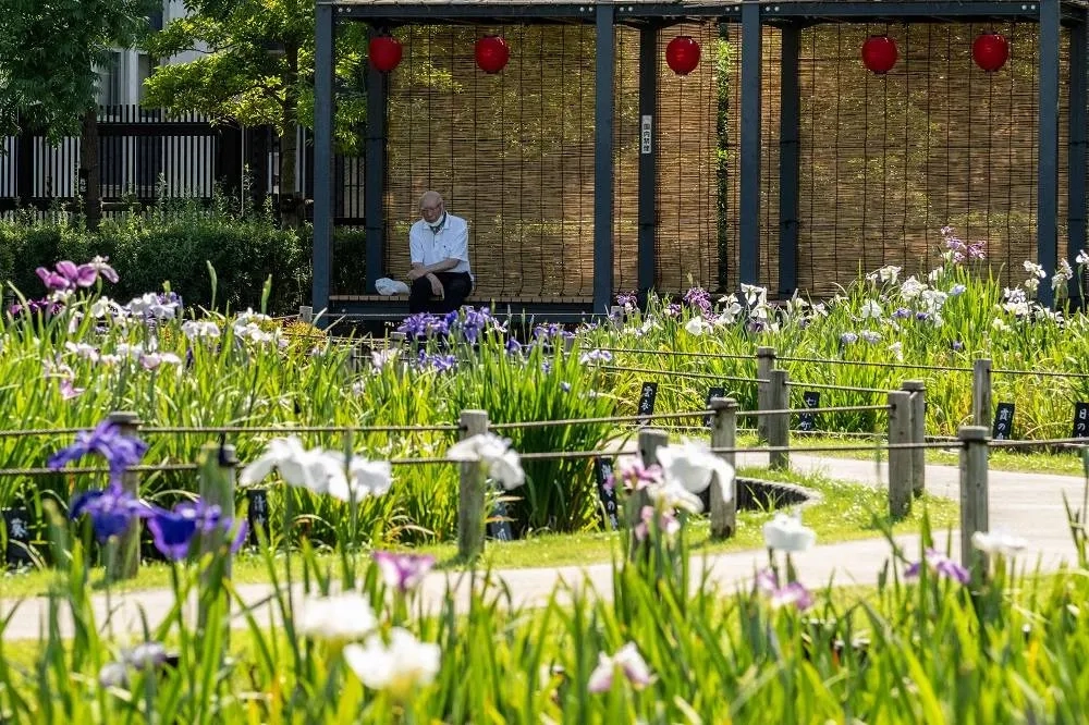Heatstroke Alerts Issued in Japan as Temperatures Surge