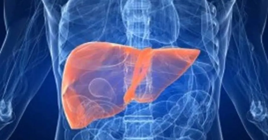 5 أطعمة مُضرّة بالكبد... توقف عن تناولها