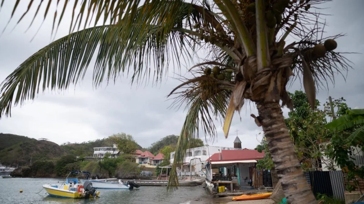 French Scientists Find New Blood Type in Guadeloupe Woman