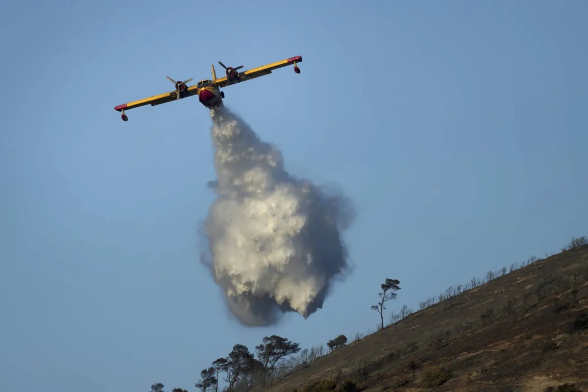 Forest Fire Near Athens Under Control, But Area on High Alert