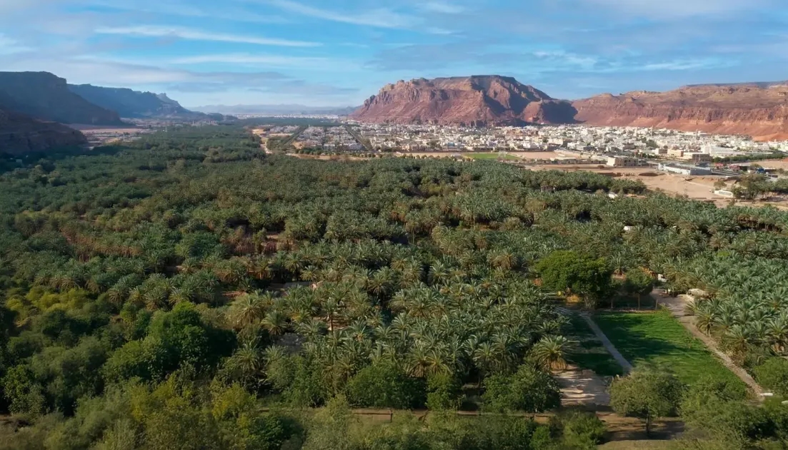 AlUla Kicks Off Summer Fruits Season, Celebrates Abundant Harvest