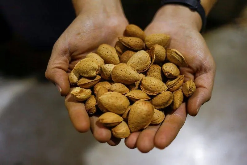 أفضل وقت لتناول المكسرات لفقدان الوزن وتعزيز الطاقة وصحة القلب