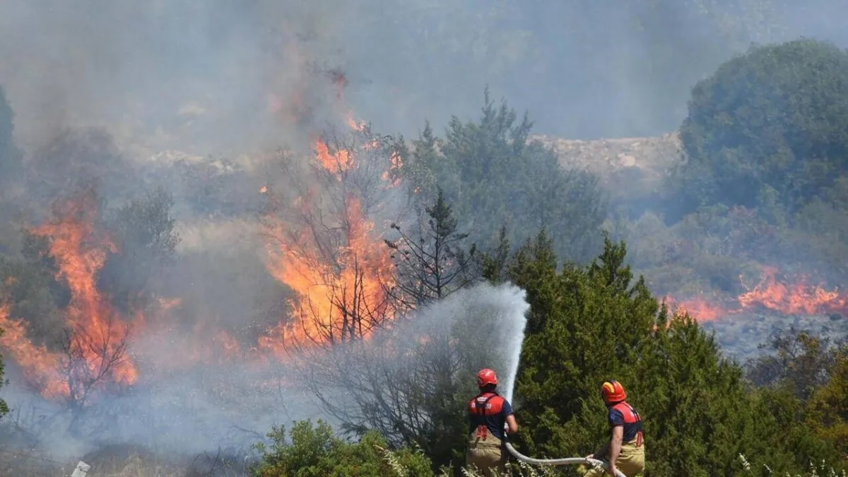 Wildfires Threaten Türkiye's Fourth-largest City as Locals are Evacuated