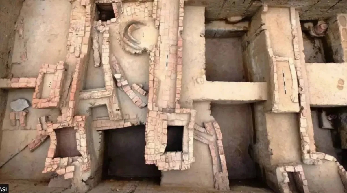 Ancient Site Sparks Heated Political Debate about India's Past