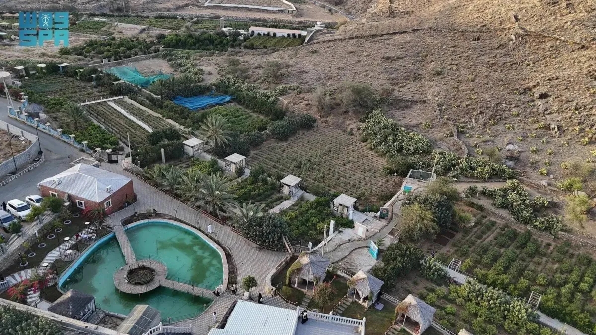 Taif's Countryside: A Thriving Hub for Tourism and Entertainment