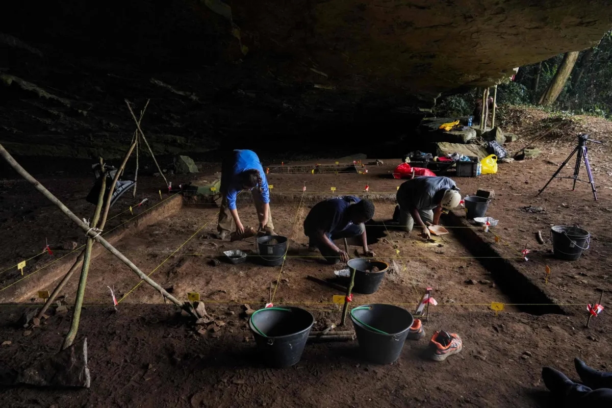 Gabon Forest Cave Reveals Clues About Prehistoric Central Africa