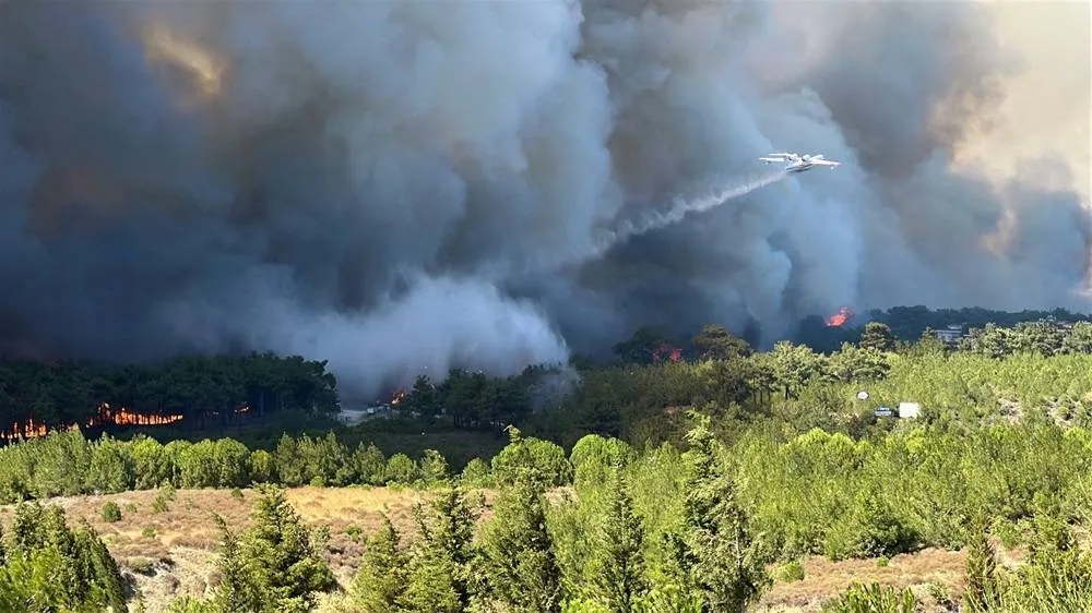 Hundreds Evacuated in Northwestern Türkiye as Authorities Fight Wildfires