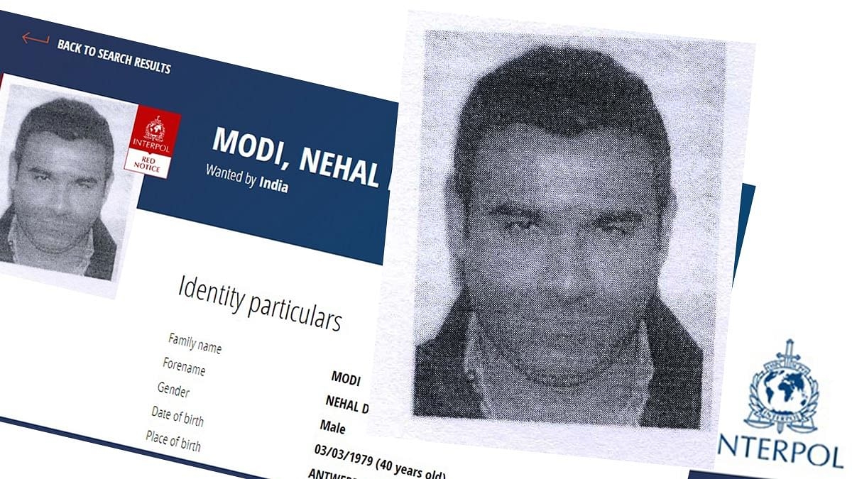 Nirav Modi's brother Nehal held in US on CBI, ED extradition requests; Justice Dept to oppose bail