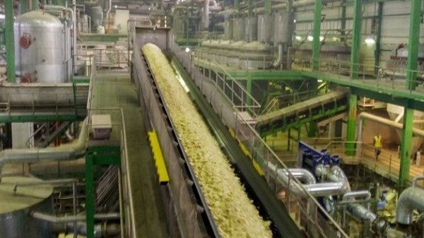 I've changed my mind on ethanol blending. It's a win India can't afford to slow down