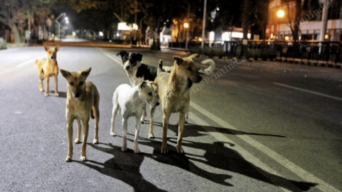 Indian laws are letting animals down every day. It's a legal, moral, ethical issue