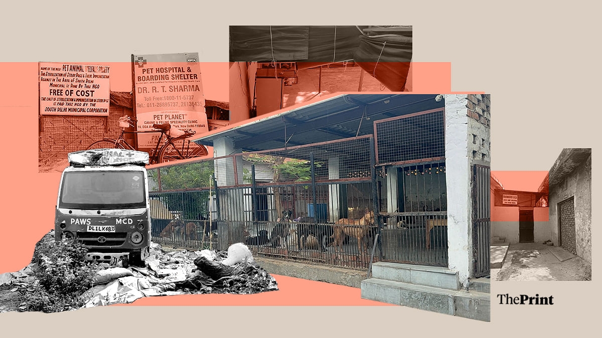 Delhi's sterilisation centres key to managing human-stray dog conflict. But they're all blood & filth