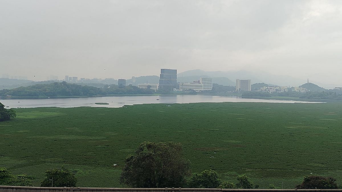 Big win for citizens' campaign as BMC set to finally clean up Powai lake after years of govt inaction
