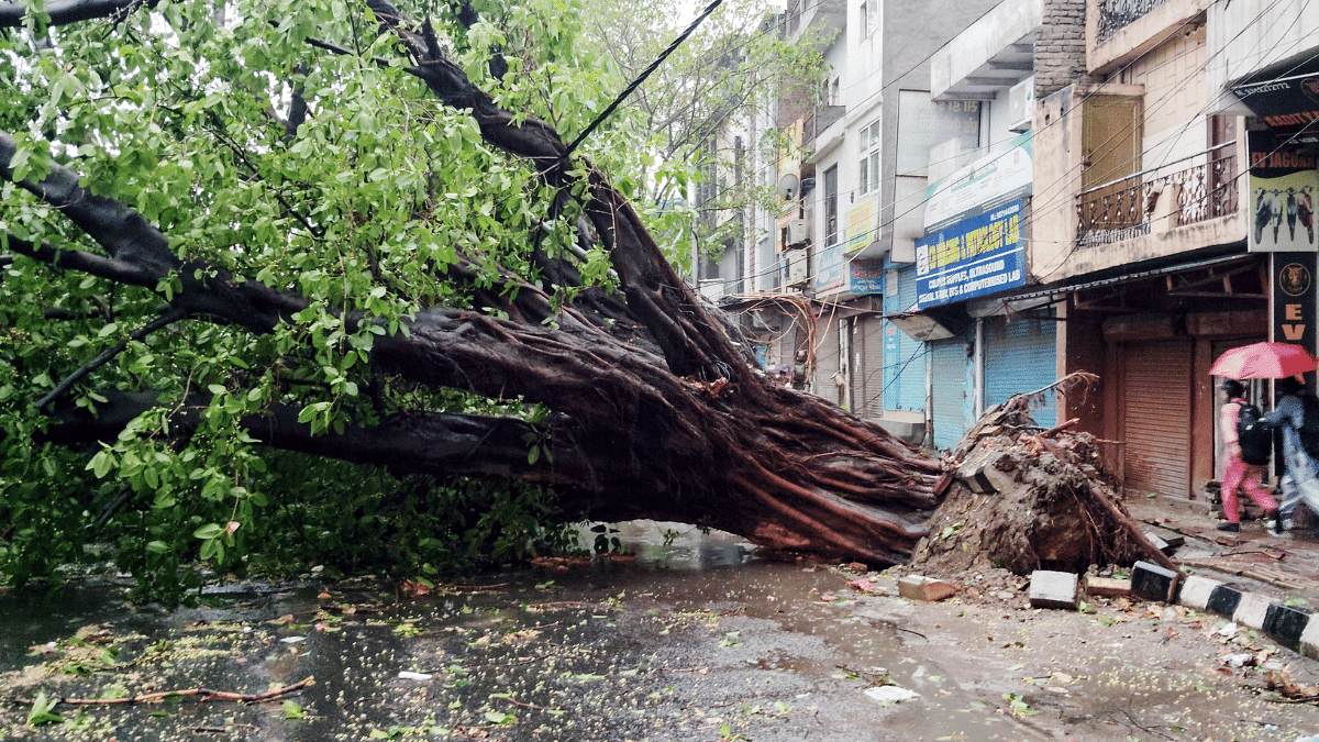 What caused unseasonal downpour that wreaked havoc in Delhi NCR? A rare mix of weather phenomena