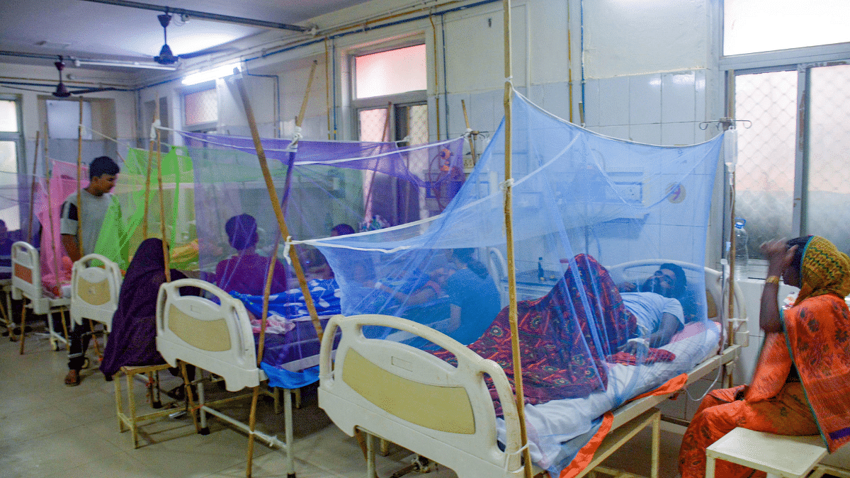 How Serum Institute, DNDi tie-up for affordable antibody will bolster global fight against dengue