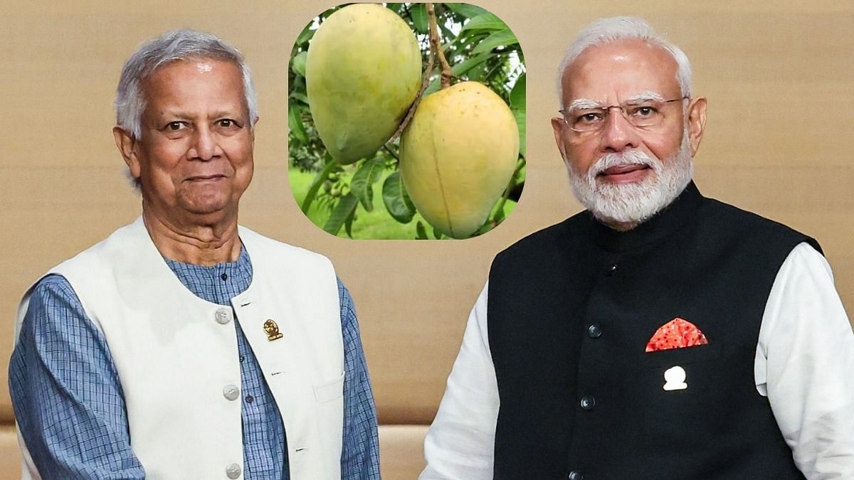 By reviving Hasina-era mango diplomacy with India, Yunus govt signals ‘business as usual'