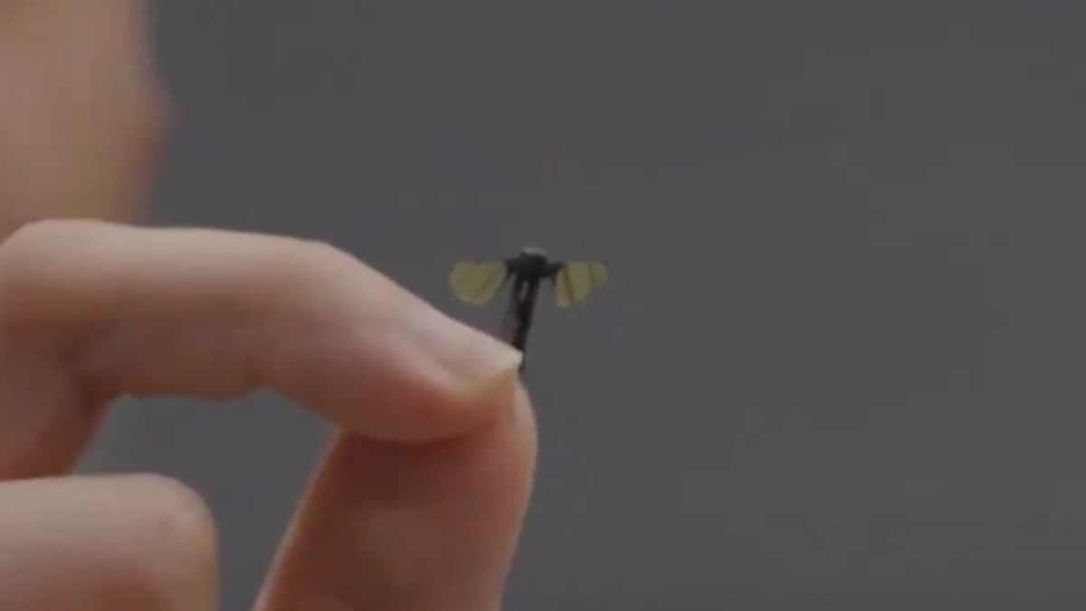 It looks like a mosquito, flies like one. It's China's newest micro-drone prototype