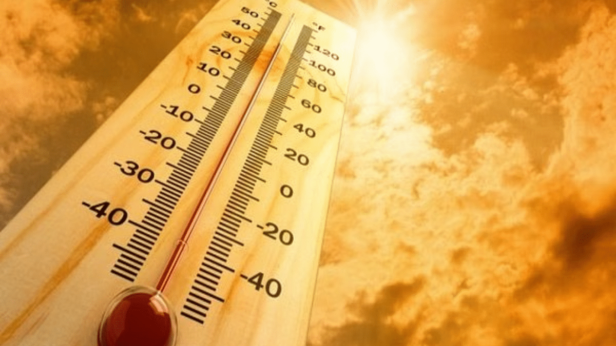 Urban India is warming faster, 3.2% of city GDP could be at risk by 2050—World Bank