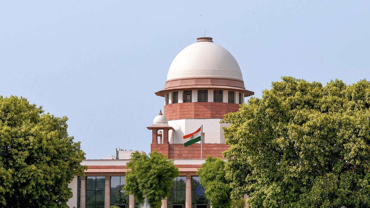 The court is not Rahul Gandhi's uncle. Its job is to protect rights, not preach