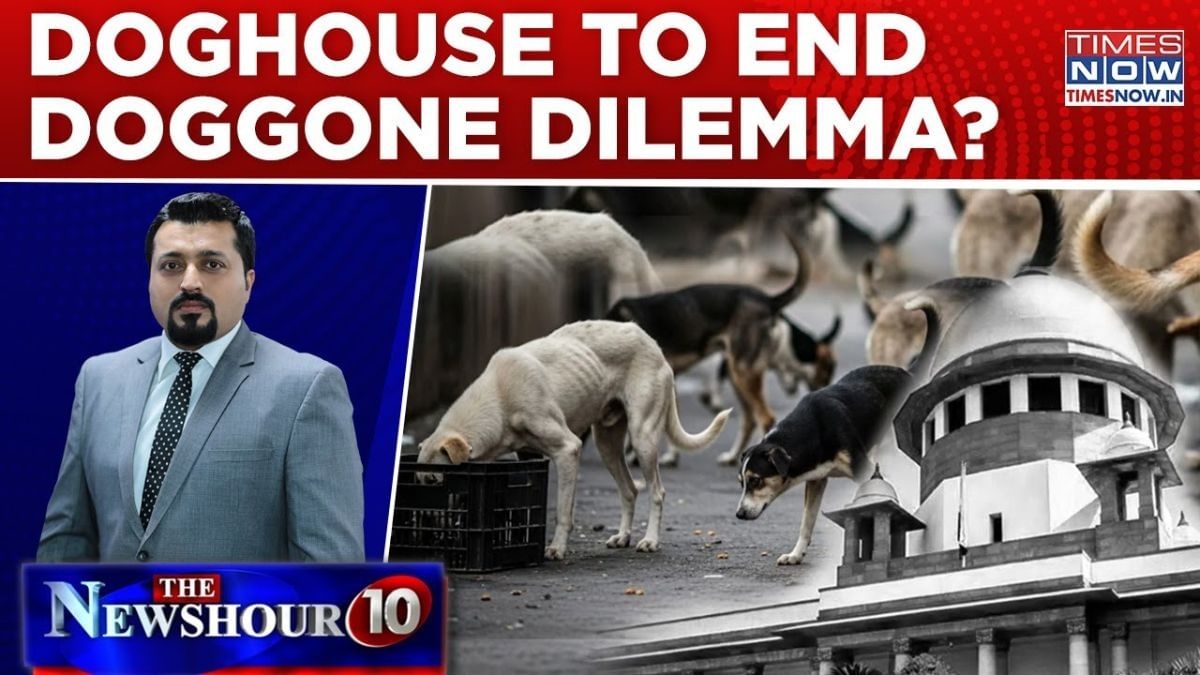 Biting terror, doggone dilemma, urban menace. Indian TV war over Delhi street dogs