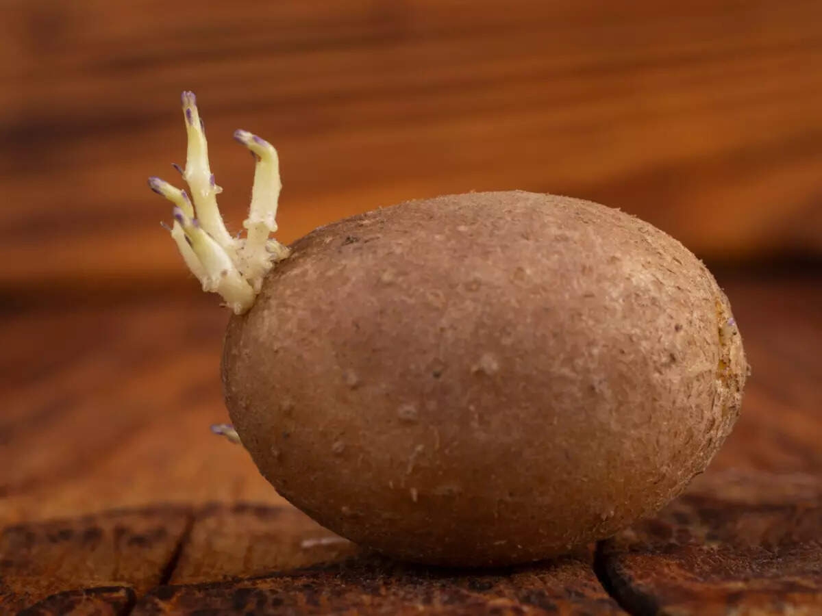 Expert-approved 3 sprouted vegetables that are dangerous for the body