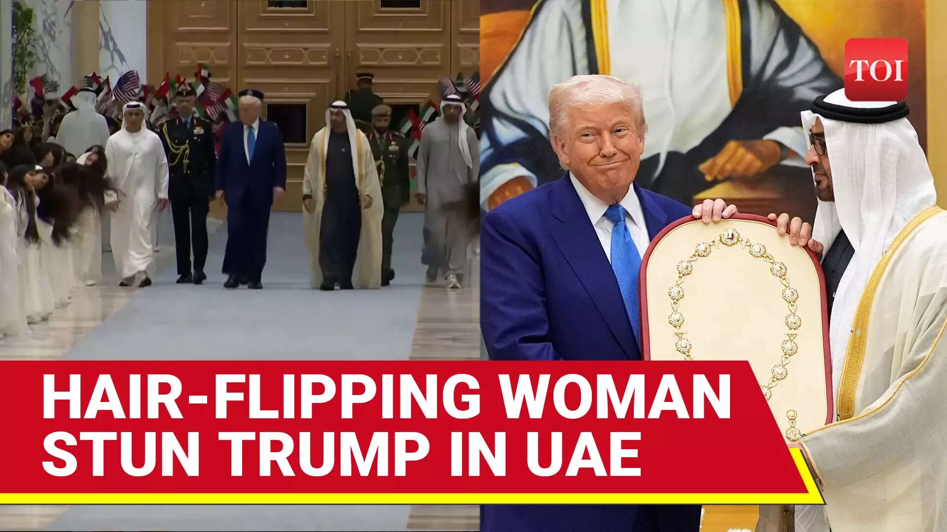 Camels, Hair-flipping Woman, Order Of Zayed & More