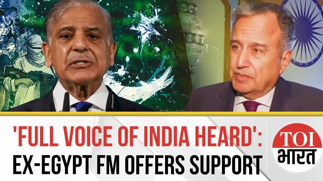Ex-Foreign Minister Hails Modi-Sisi Coordination