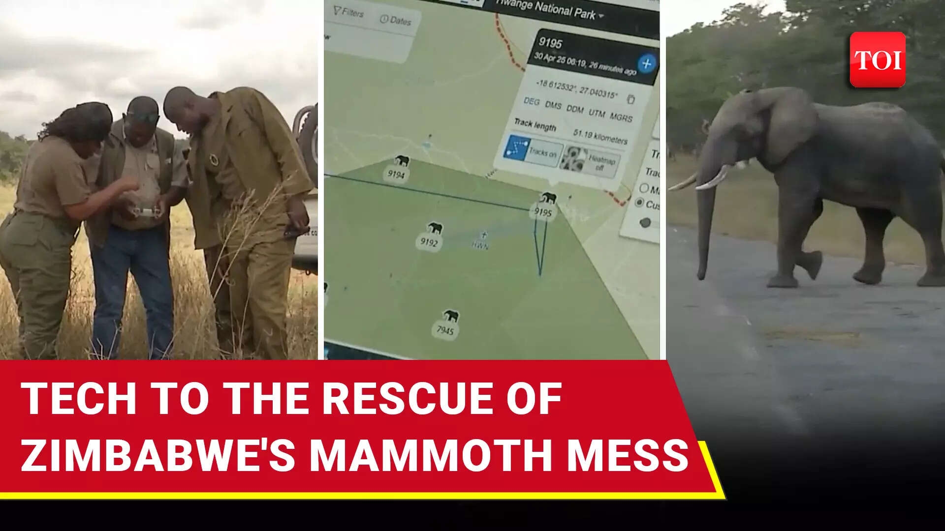 Zimbabwe Takes Tech's Help To Track Starving Elephants, Prevent Deadly Invasions