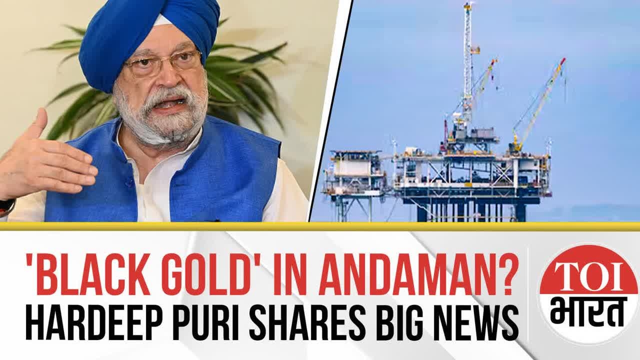 Oil Jackpot In Andaman? Hardeep Puri Hints At India's 'Guyana Moment' In Indian Ocean