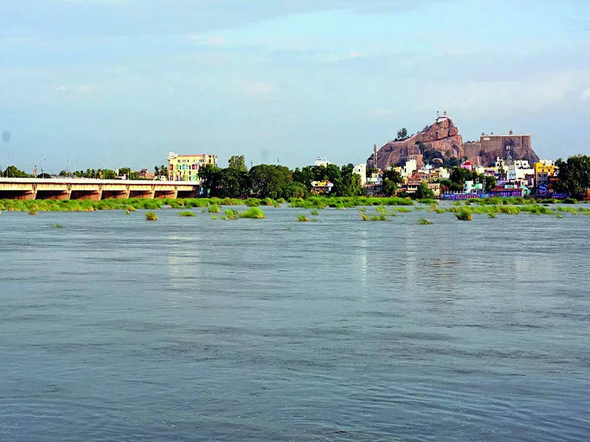 Karnataka rivers choke as water quality dips to dangerous levels
