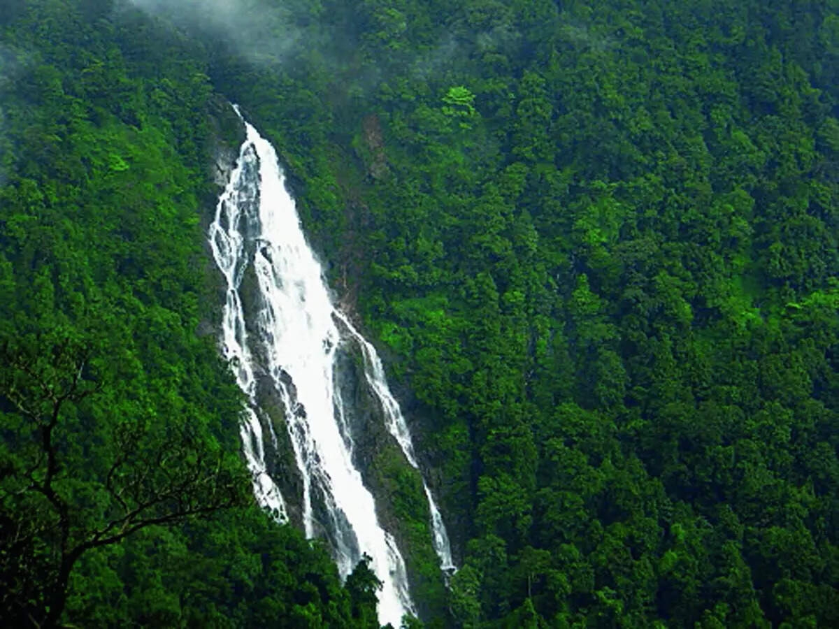 Western Ghats under direct threat from Sharavathi project: Report