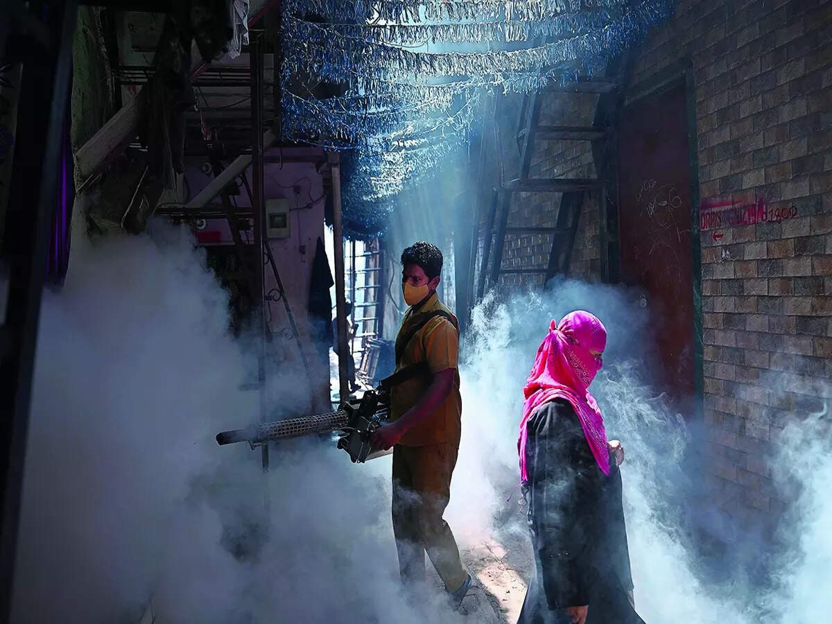 Dengue cases down as BBMP intensifies efforts